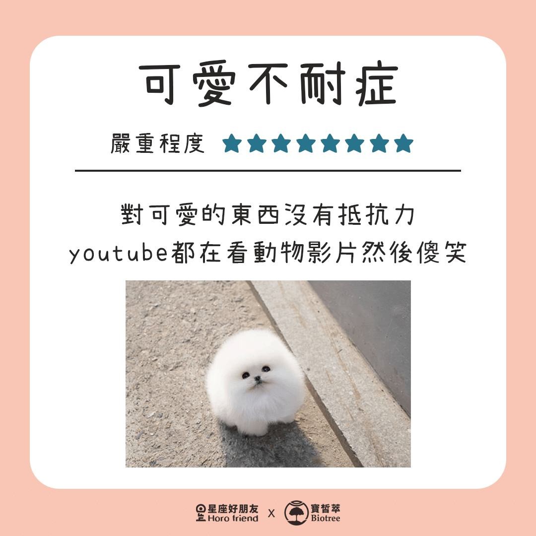 可愛不耐症 嚴重程度8顆星 對可愛的東西沒有抵抗力 youtube都在看動物影片然後傻笑